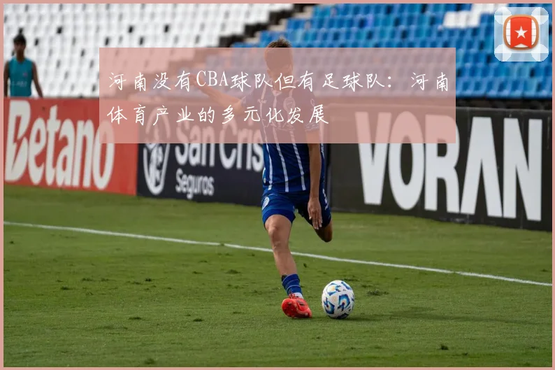 河南没有CBA球队但有足球队：河南体育产业的多元化发展