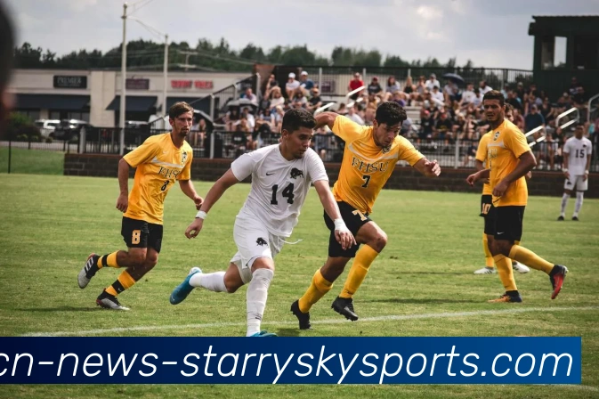 星空体育APP 高清赛事图